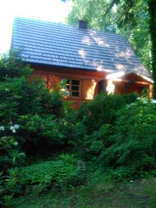 Дома для отпуска Leśniówka-Łękawica koło Wadowic Świnna Poręba Дом с 3 спальнями-16